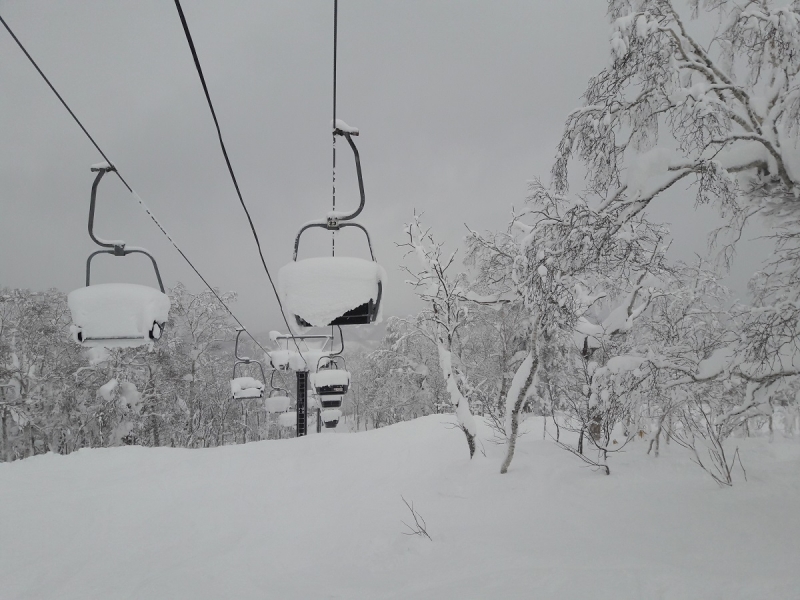 Japan – Powder zwischen Ramen, Birken und heißen Quellen